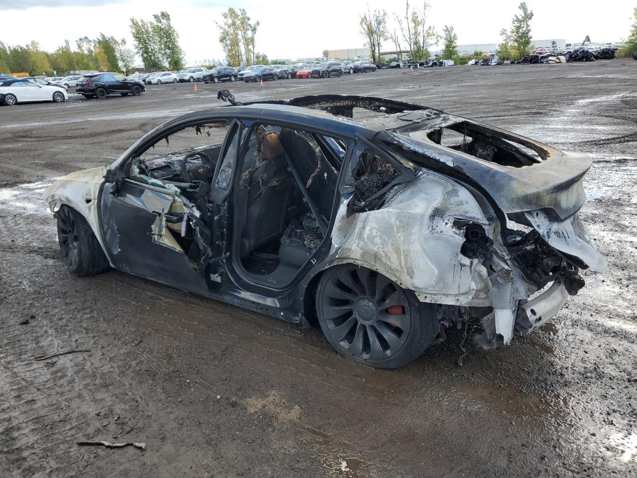 2022 Tesla Model Y - Фото 2