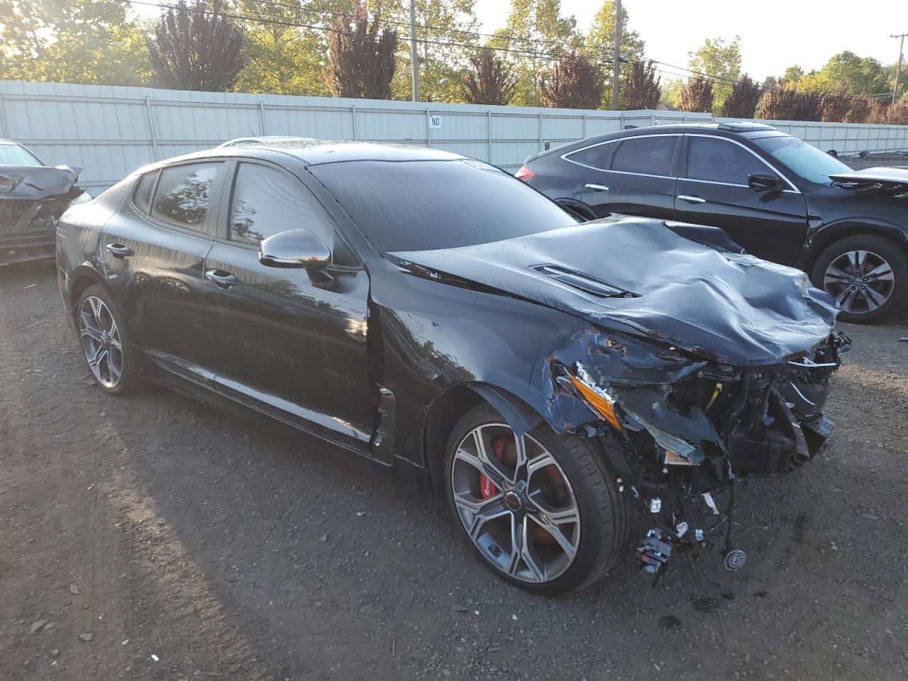 2019 Kia Stinger Gt - Фото 4