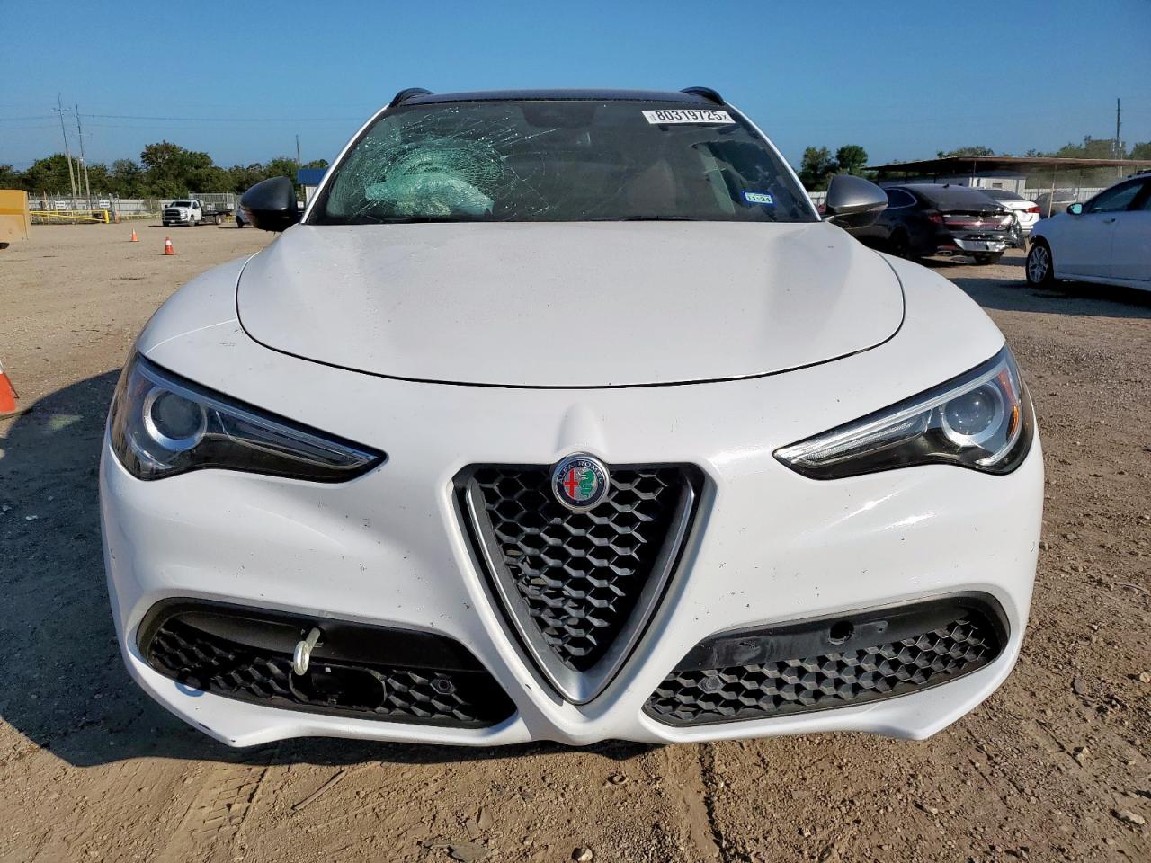 2019 Alfa Romeo Stelvio - Фото 5