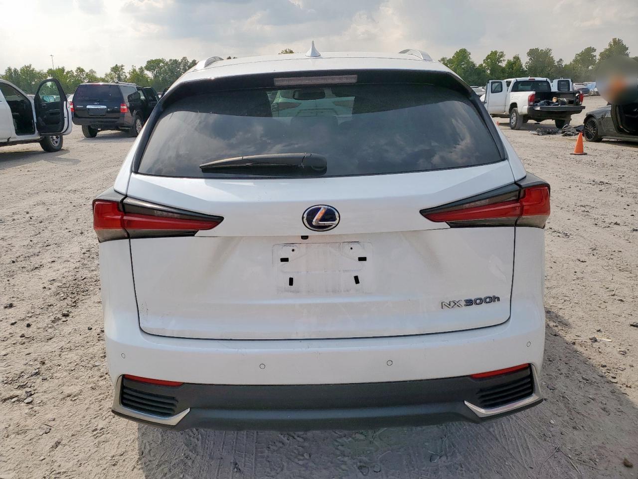 2018 Lexus Nx 300H - Image 6