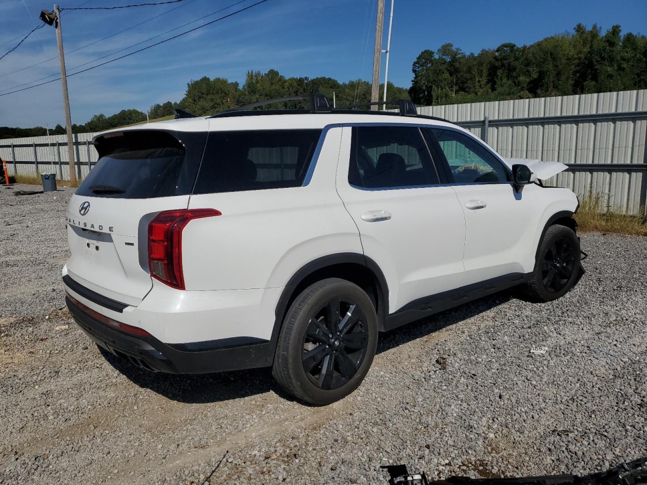 2024 Hyundai Palisade Xrt - Image 3