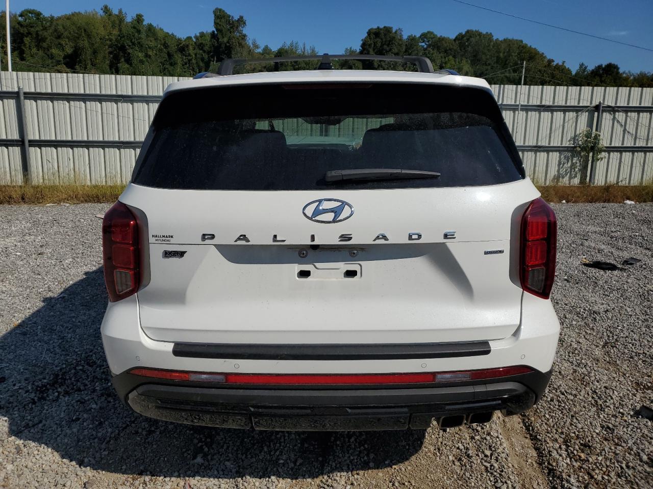 2024 Hyundai Palisade Xrt - Image 6