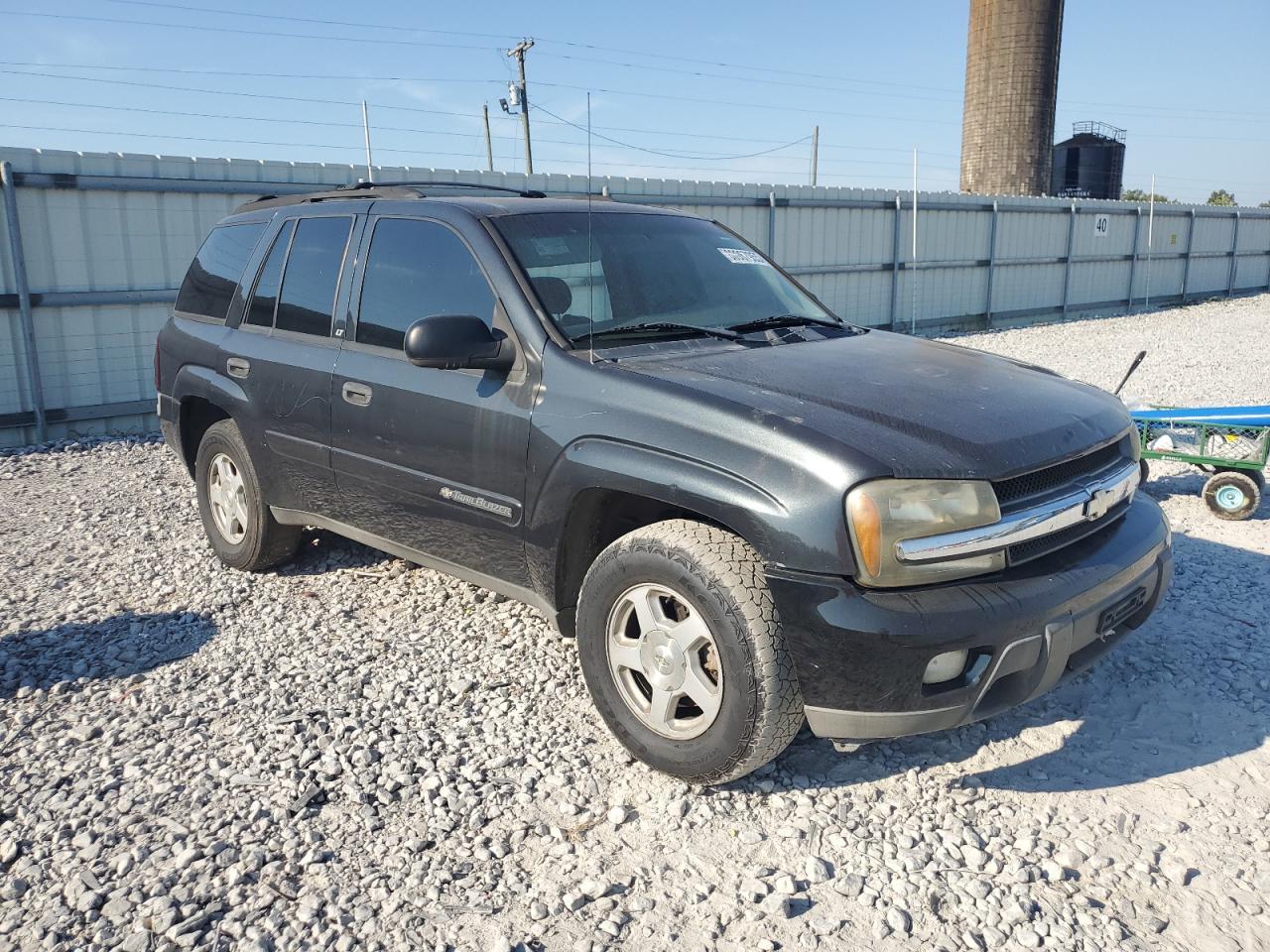 2003 Chevrolet Trailblazer - Фото 4