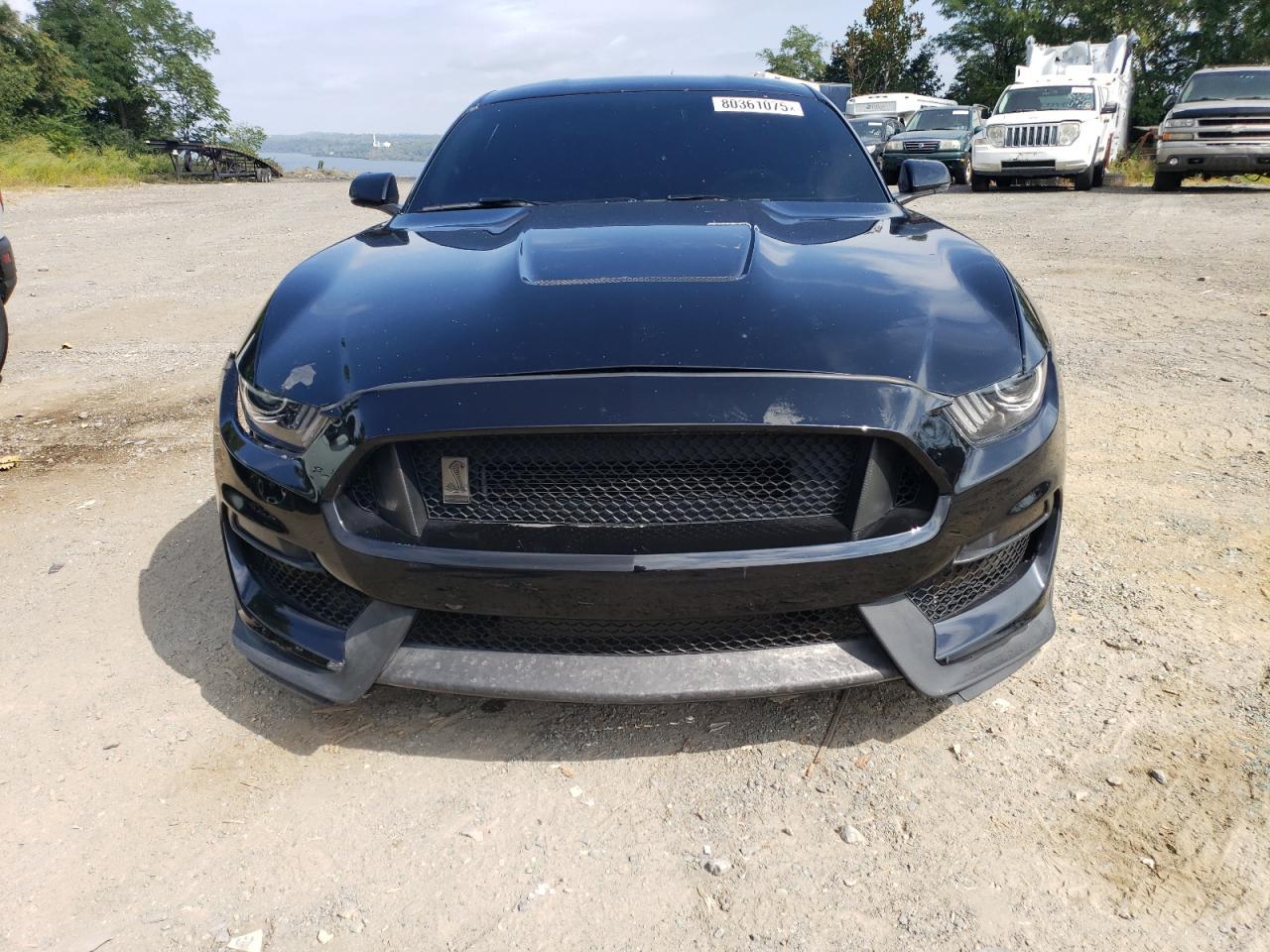 2019 Ford Mustang Shelby Gt350 - Image 5
