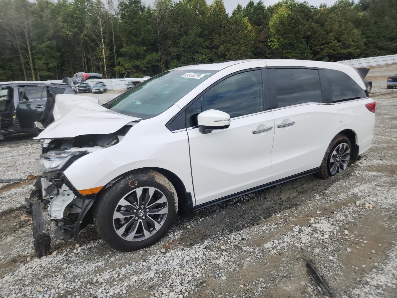 2024 Honda Odyssey Exl