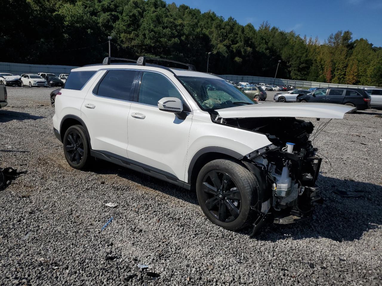 2024 Hyundai Palisade Xrt - Image 4