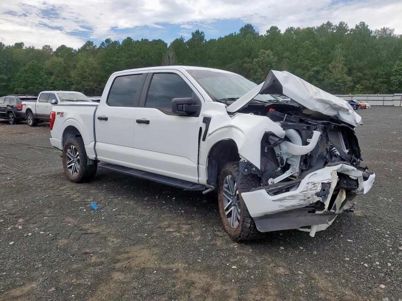 2023 Ford F150 Supercrew - Image 4