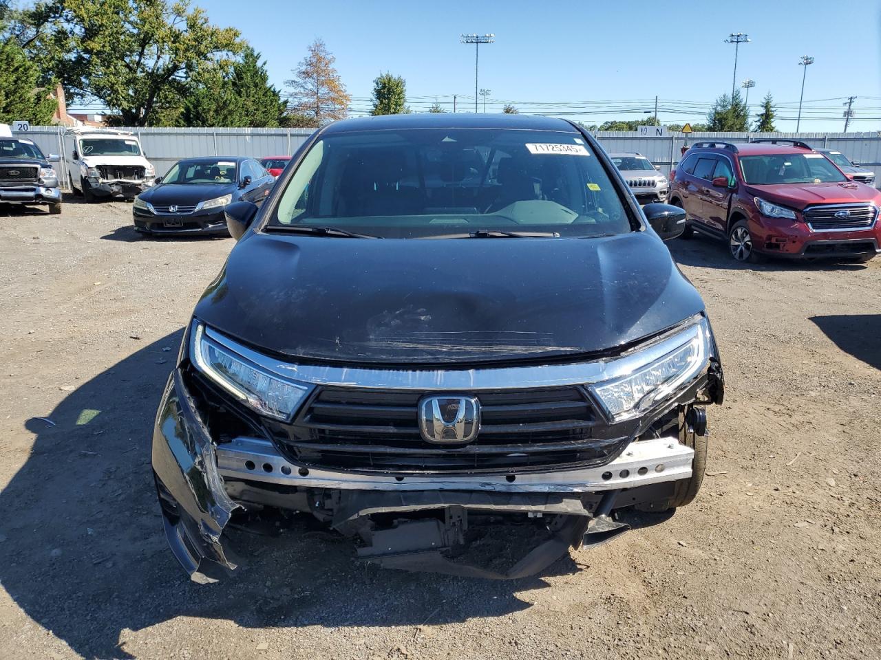 2024 Honda Odyssey Exl - Image 5