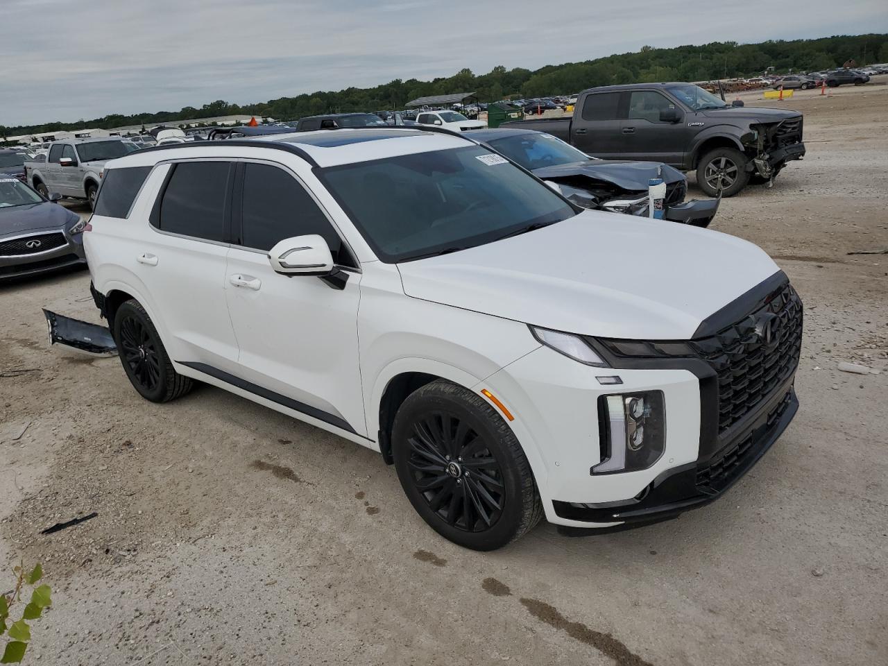 2024 Hyundai Palisade Calligraphy - Фото 4