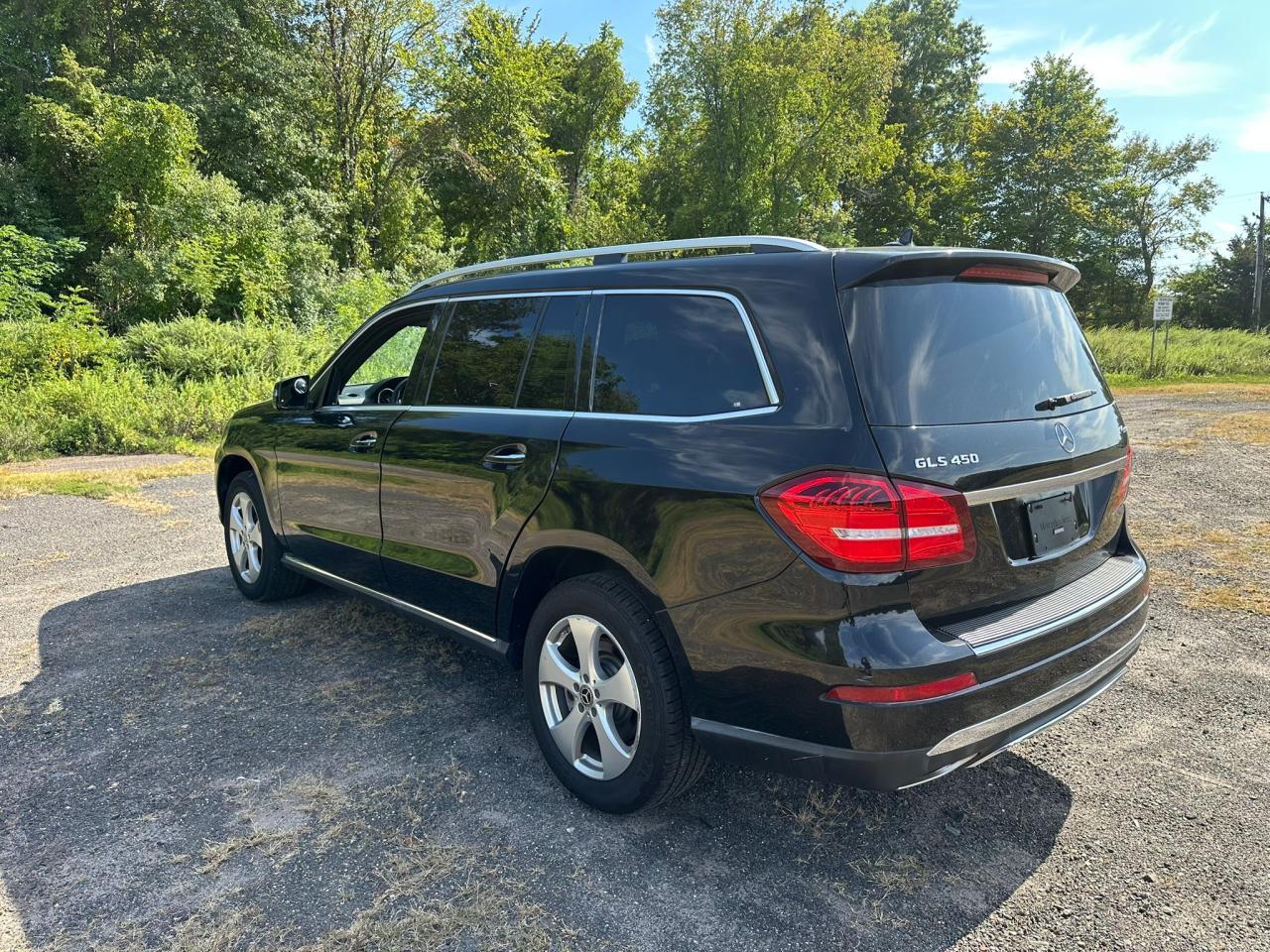2018 Mercedes-Benz Gls 450 4Matic - Фото 2