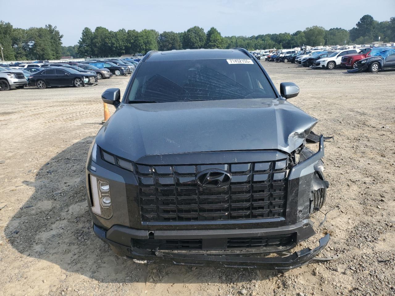 2024 Hyundai Palisade Xrt - Фото 5