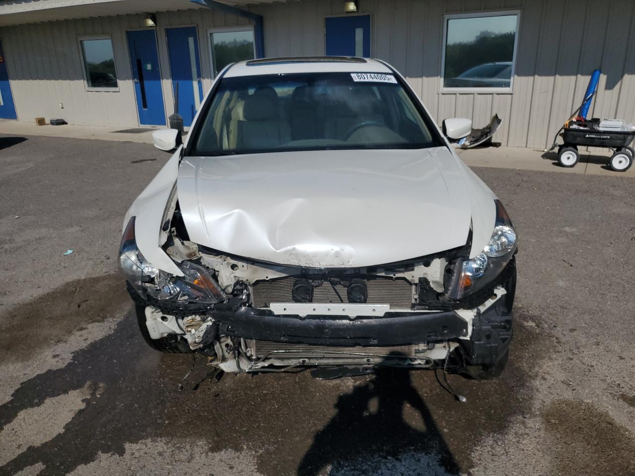 2008 Honda Accord Exl - Image 5