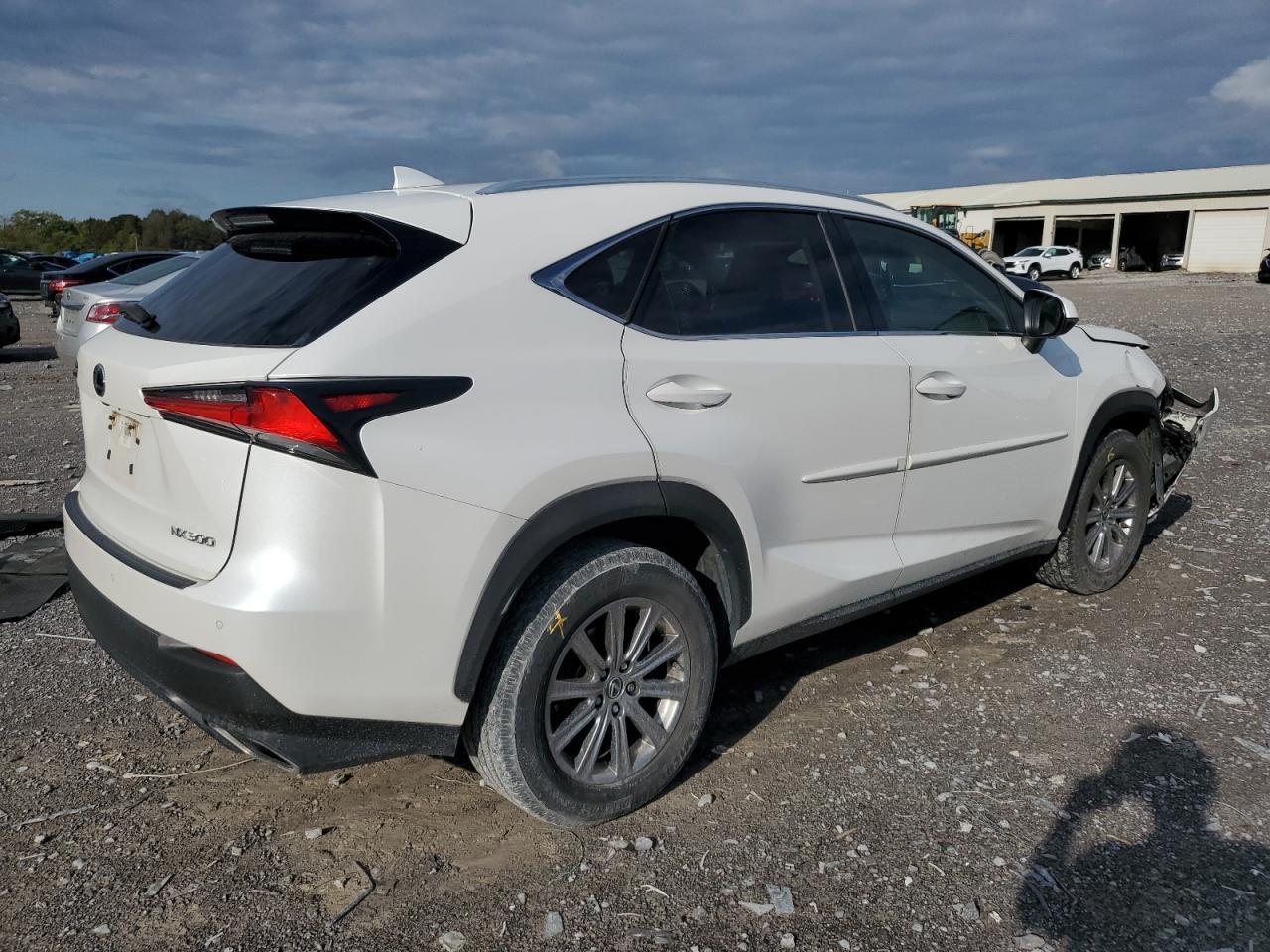 2018 Lexus Nx 300 Base - Фото 3