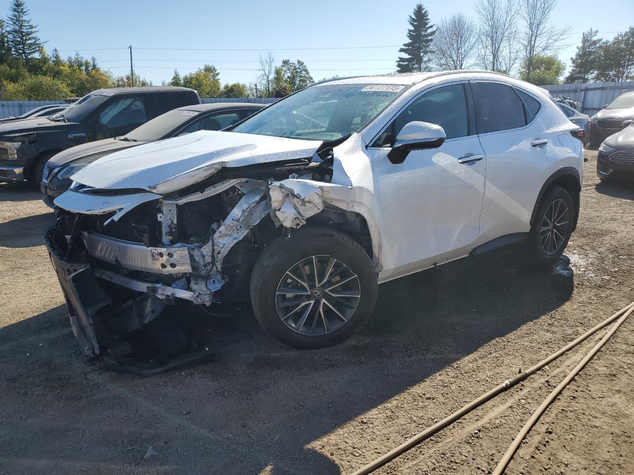 2025 Lexus Nx 350H Base