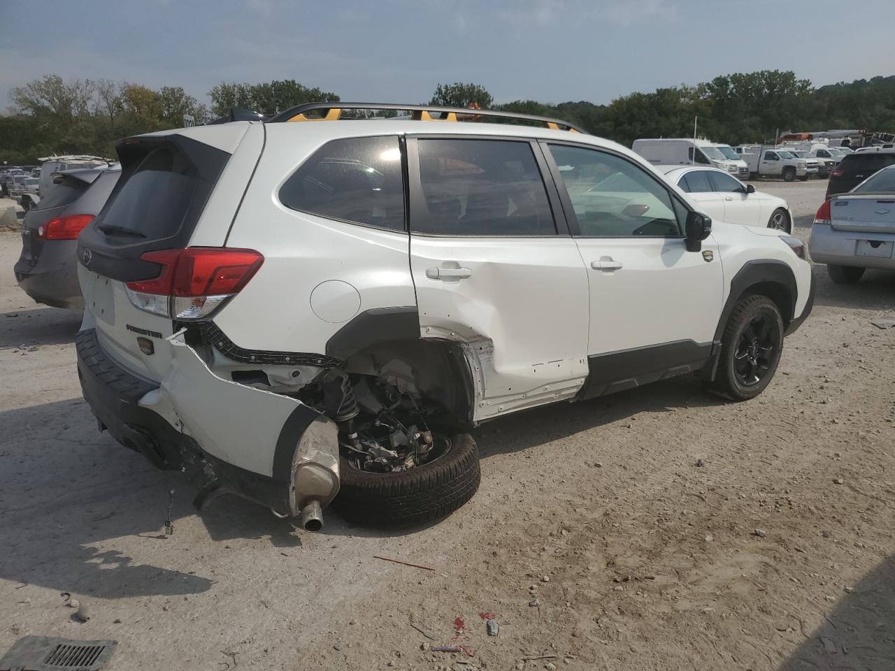 2024 Subaru Forester Wilderness - Фото 3