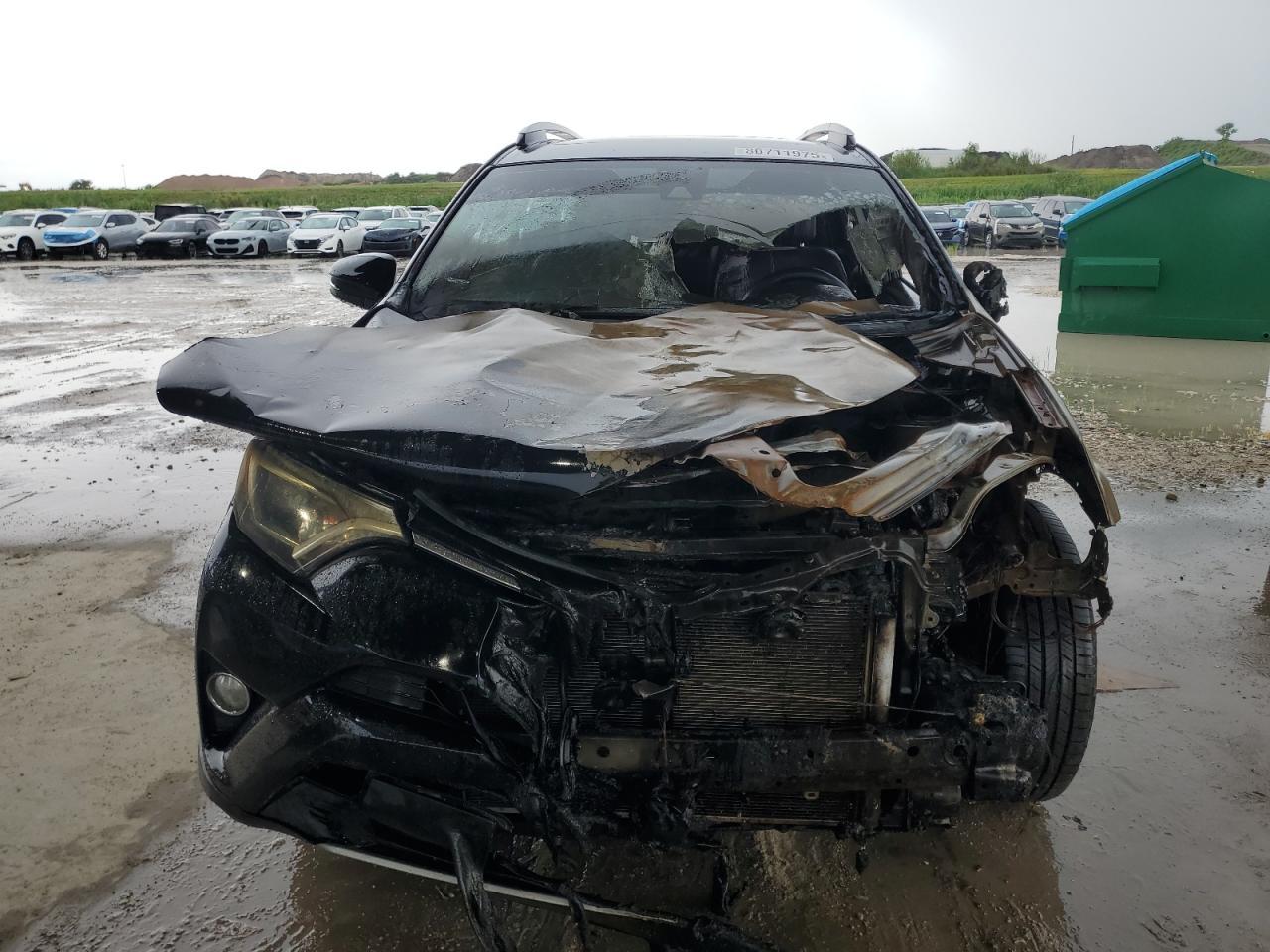 2018 Toyota Rav4 Adventure - Фото 5