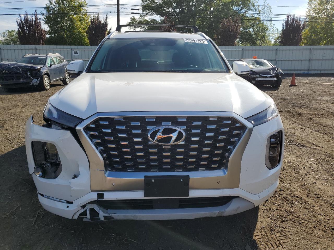 2021 Hyundai Palisade Limited - Фото 5