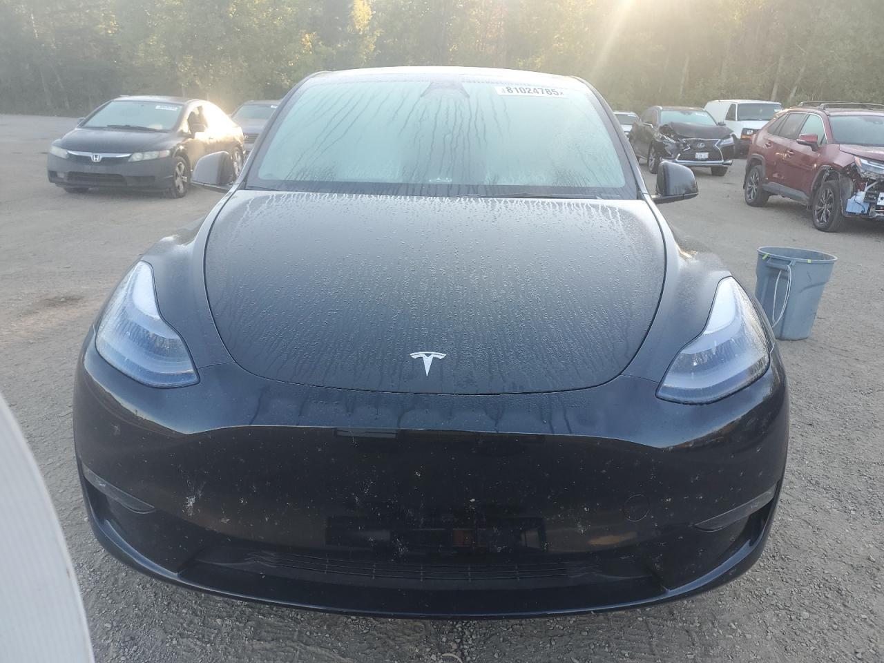 2024 Tesla Model Y - Фото 5