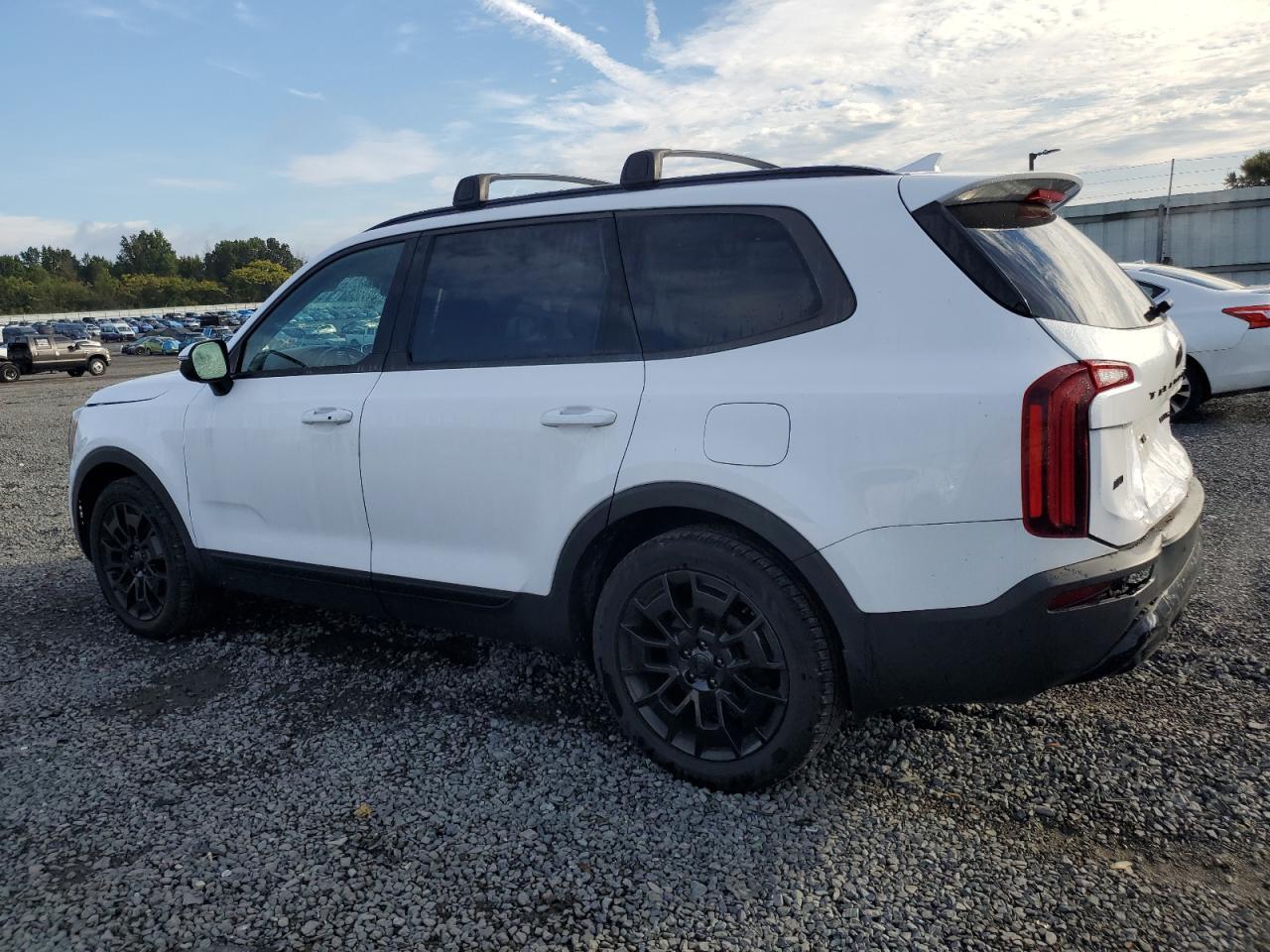 2021 Kia Telluride Ex - Фото 2