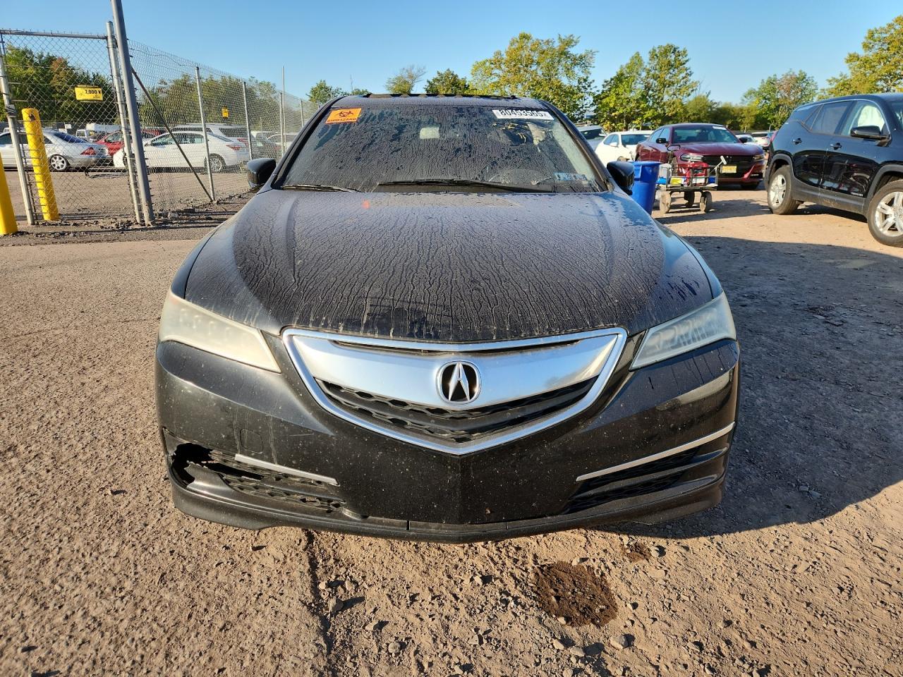 2016 Acura Tlx - Фото 5