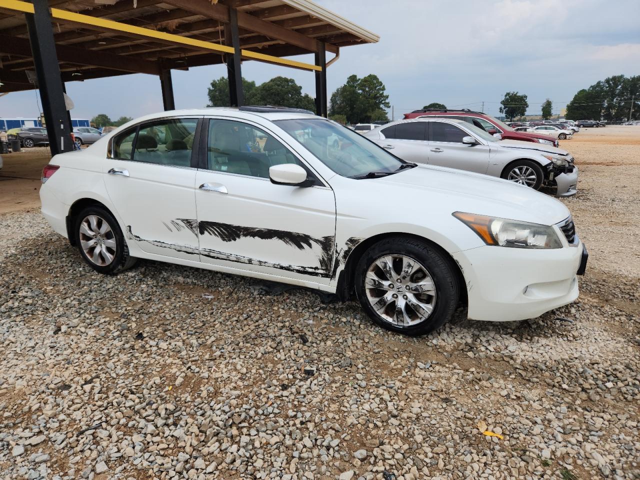 2009 Honda Accord Exl - Image 4