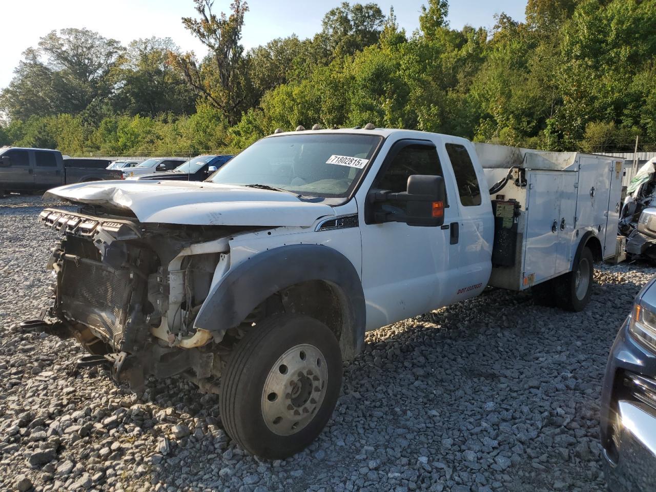 2015 Ford Super Duty F-350 W/S - Фото 2