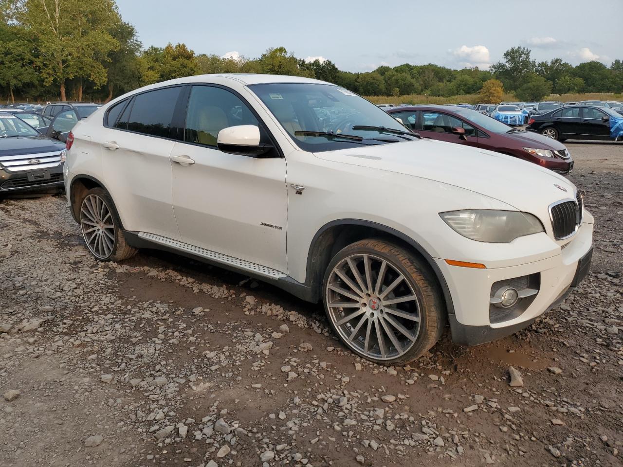 2010 BMW X6 xDrive35I - Фото 4