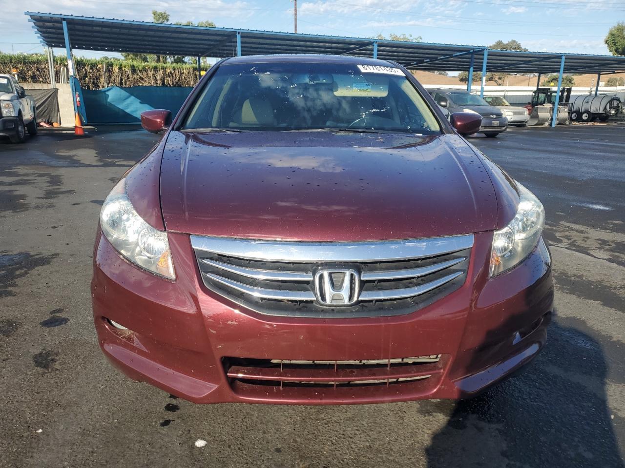 2011 Honda Accord Exl - Image 5