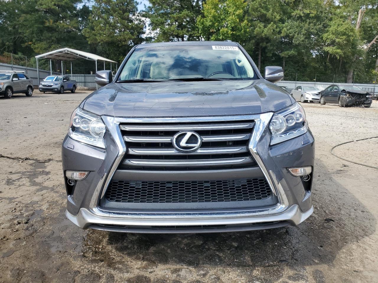 2019 Lexus Gx 460 - Фото 5