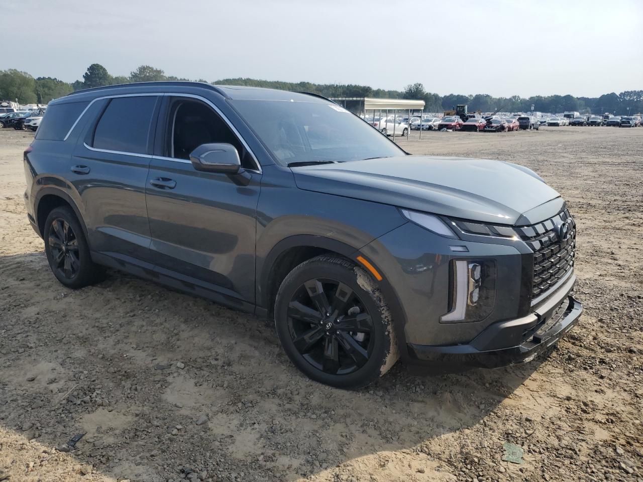 2024 Hyundai Palisade Xrt - Фото 4