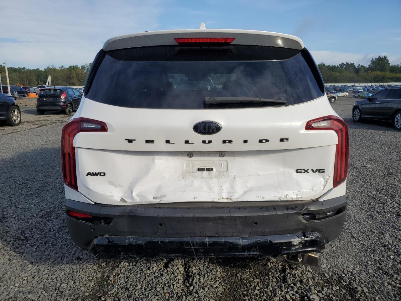 2021 Kia Telluride Ex - Фото 6