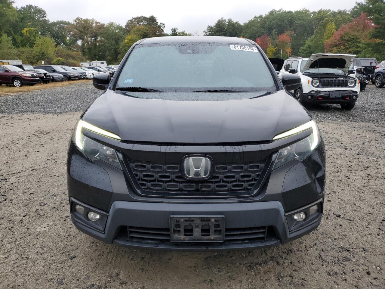 2019 Honda Passport Sport - Фото 5