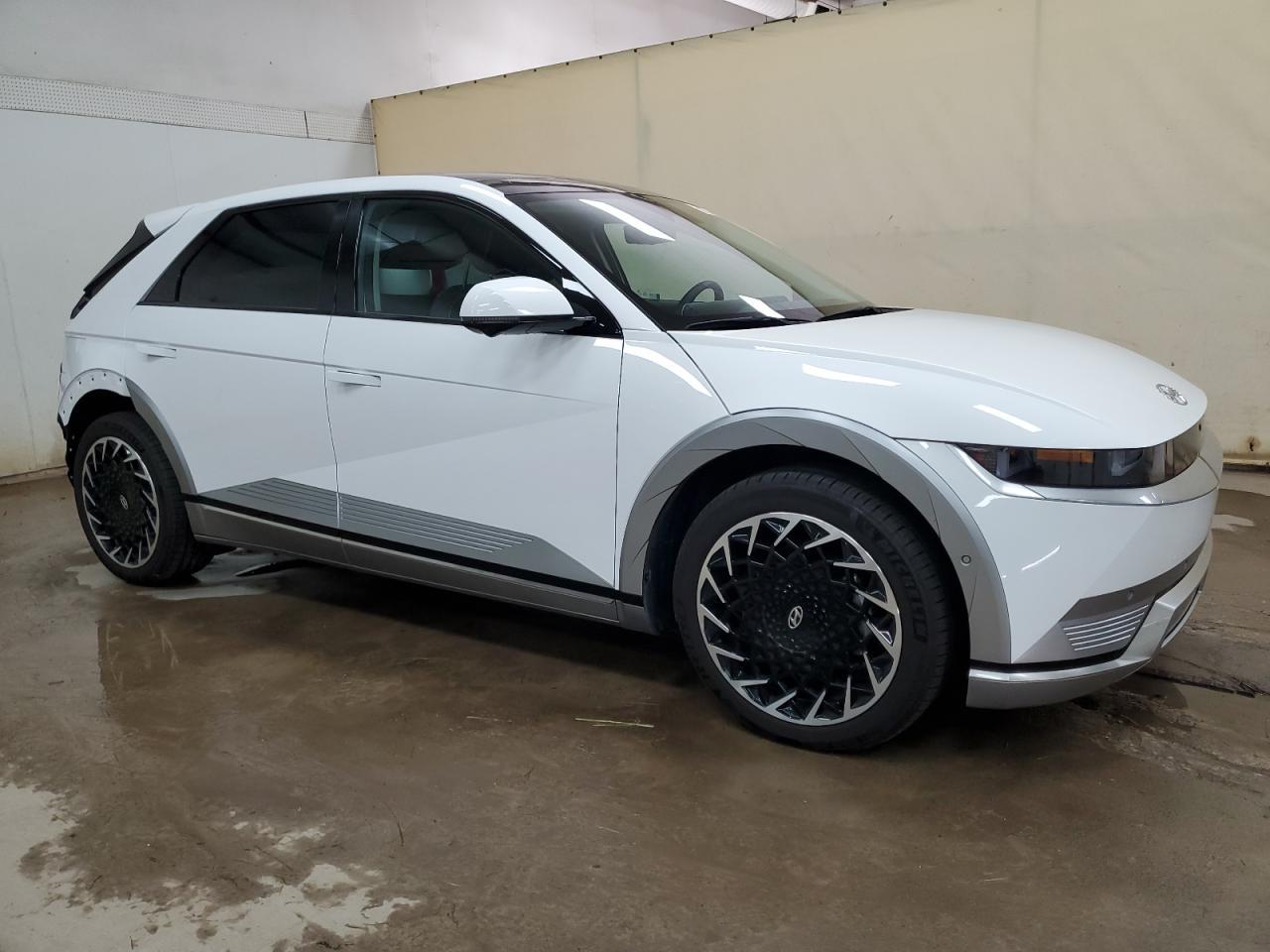 2024 Hyundai Ioniq 5 Limited - Фото 4