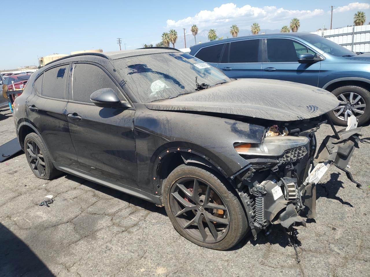 2020 Alfa Romeo Stelvio - Фото 4
