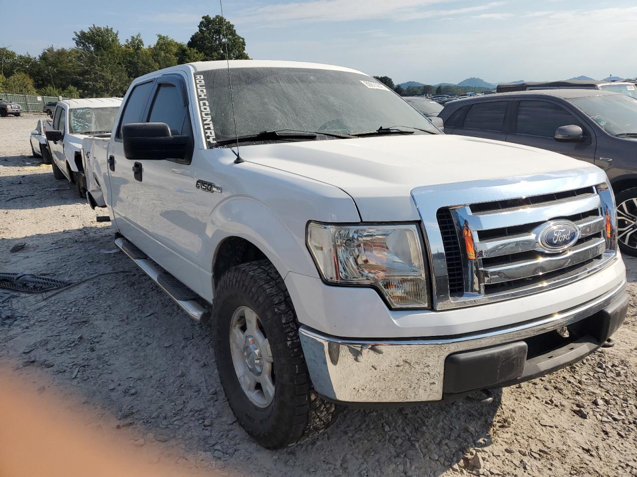 2010 Ford F150 Supercrew - Фото 4
