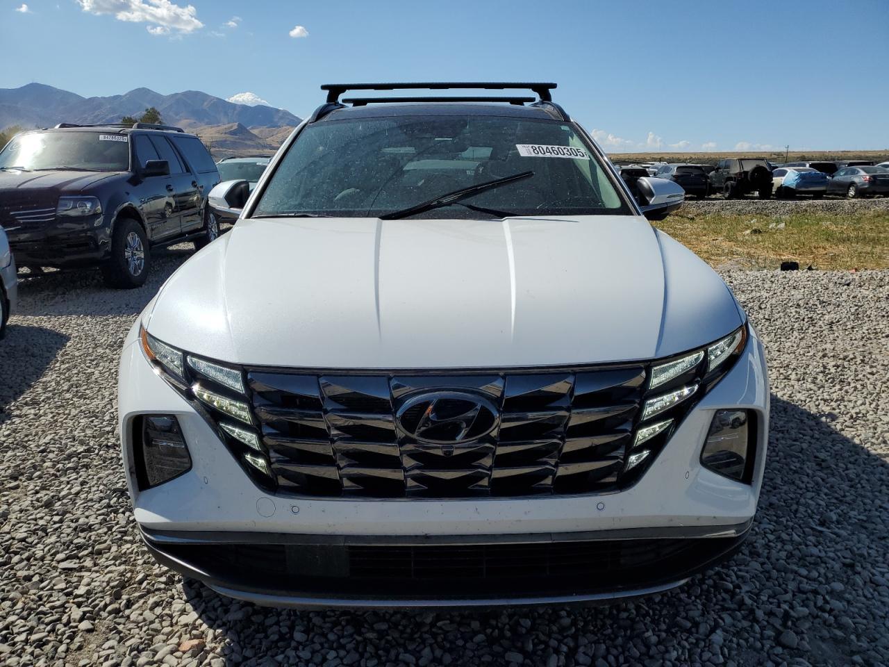 2024 Hyundai Tucson Limited - Фото 5