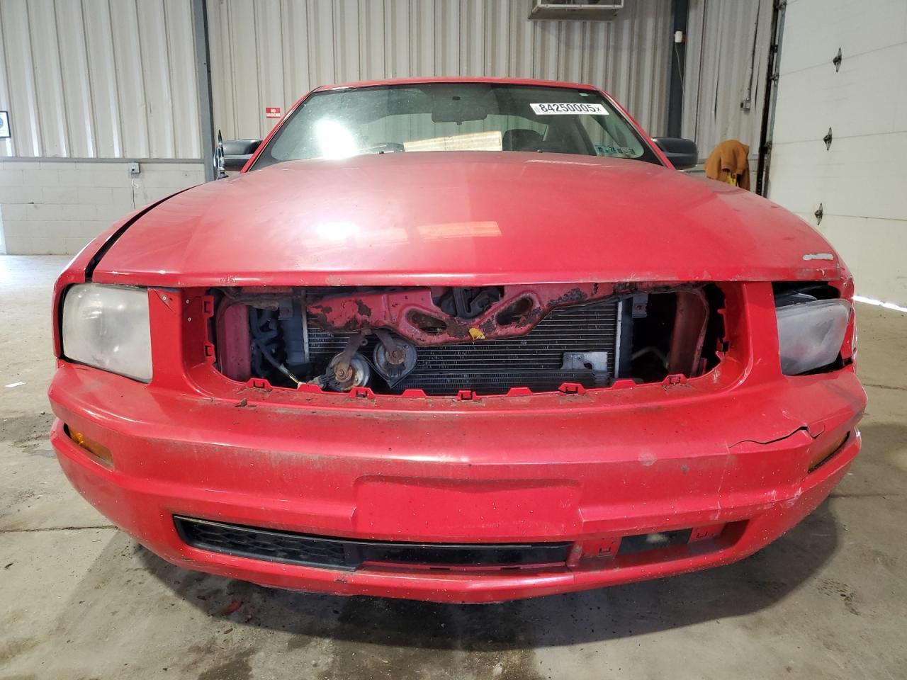 2009 Ford Mustang - Фото 5