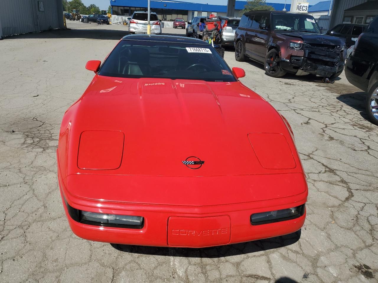 1993 Chevrolet Corvette - Фото 5