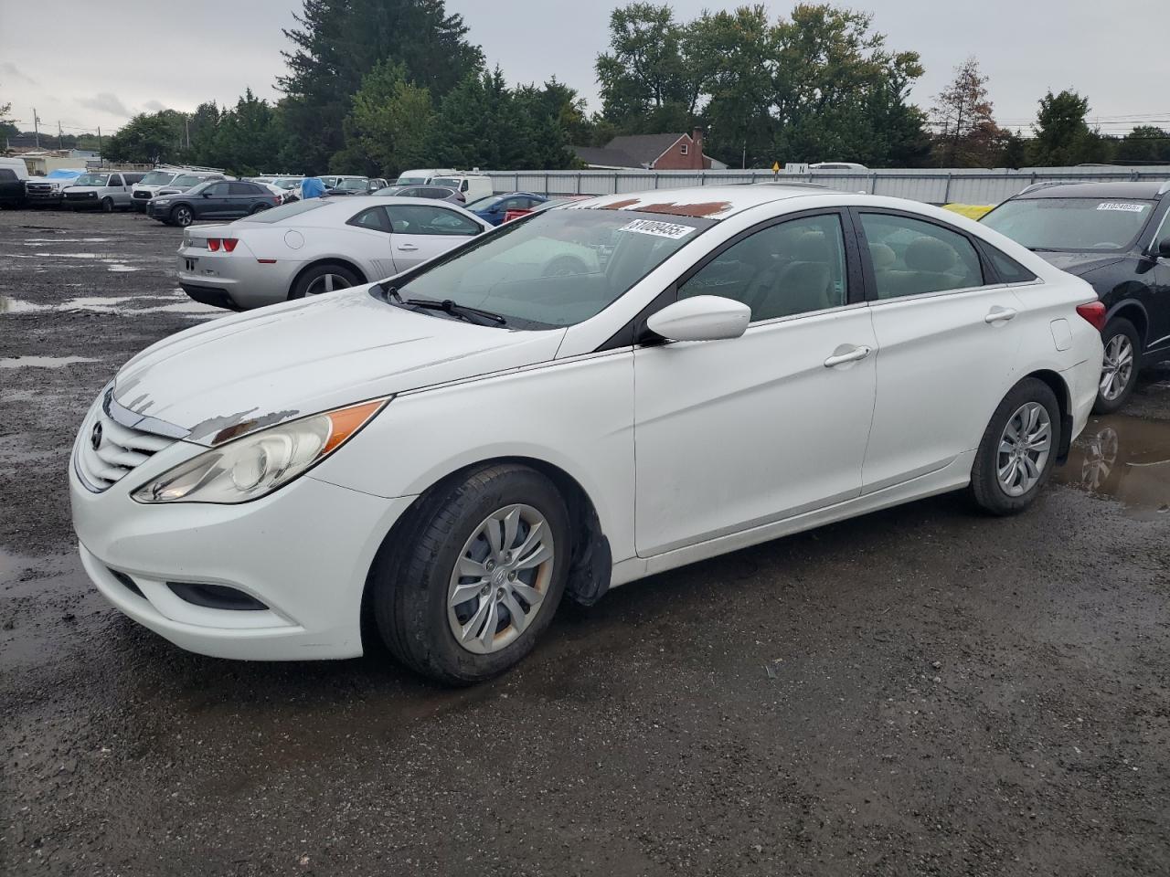 2011 Hyundai Sonata Gls