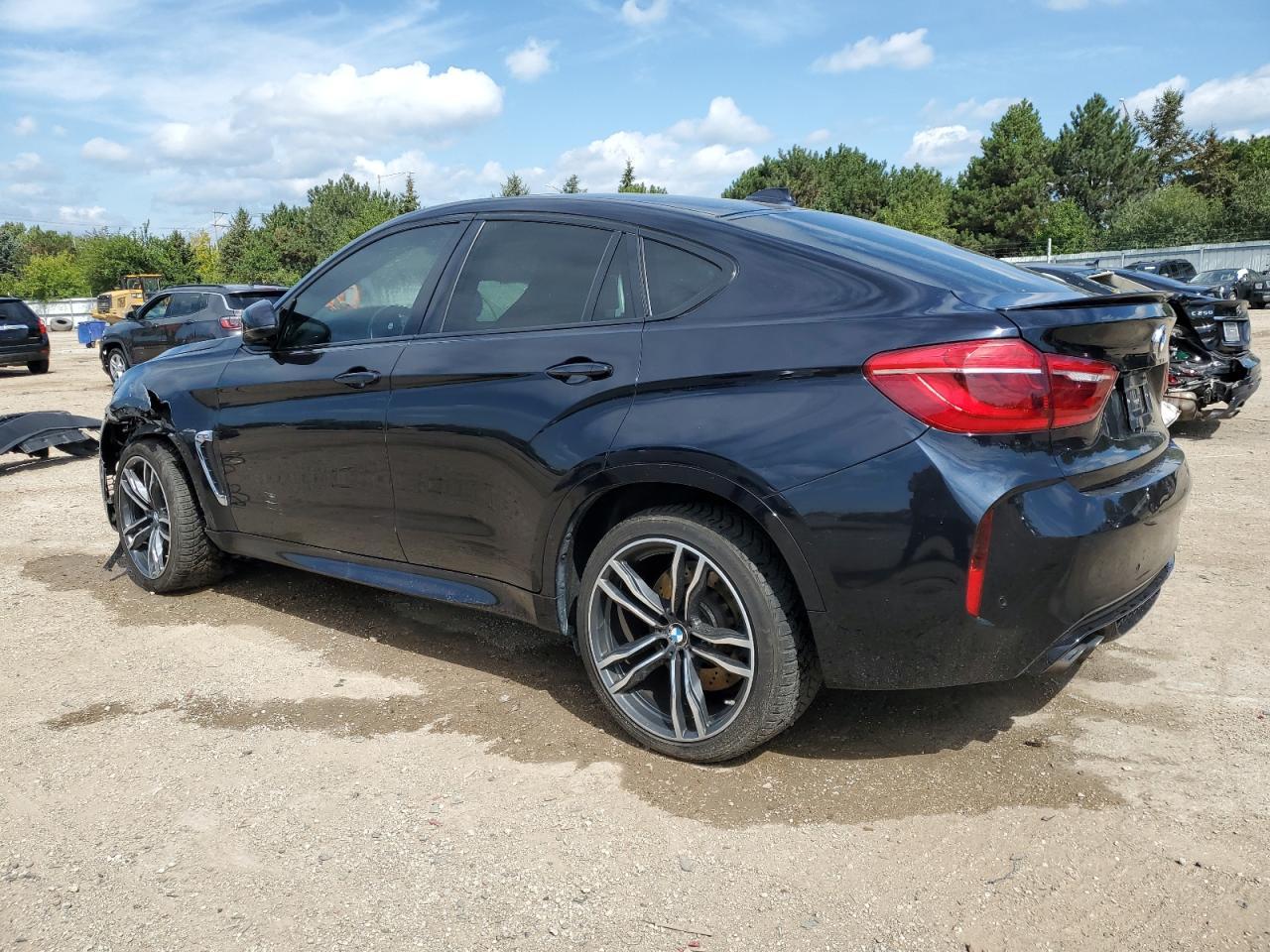 2016 BMW X6 M - Фото 2