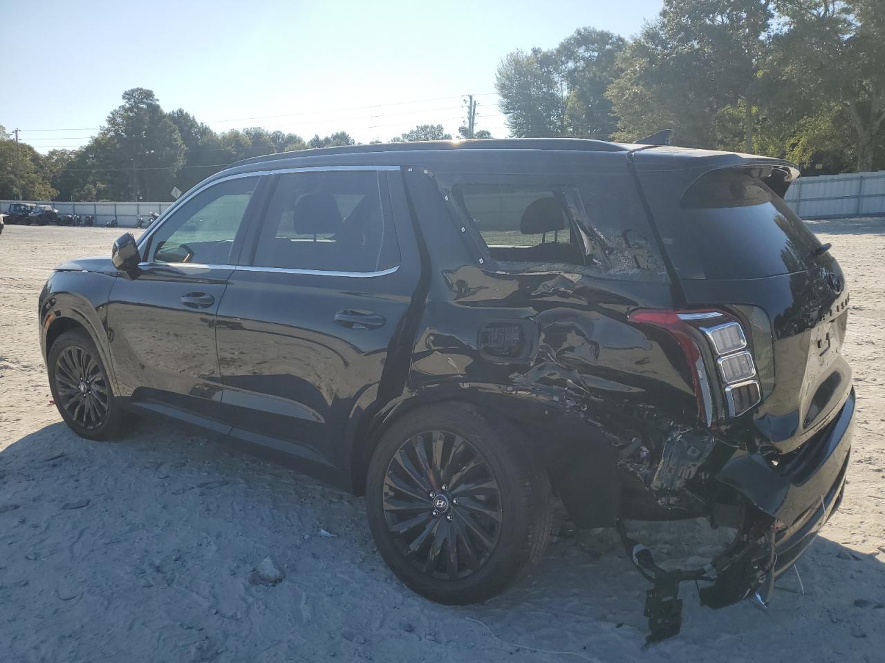 2024 Hyundai Palisade Calligraphy - Фото 2
