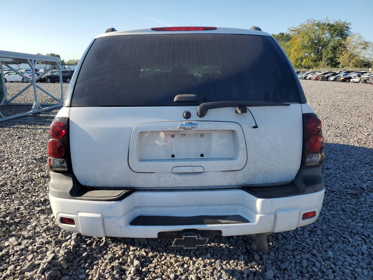2007 Chevrolet Trailblazer Ls - Фото 6