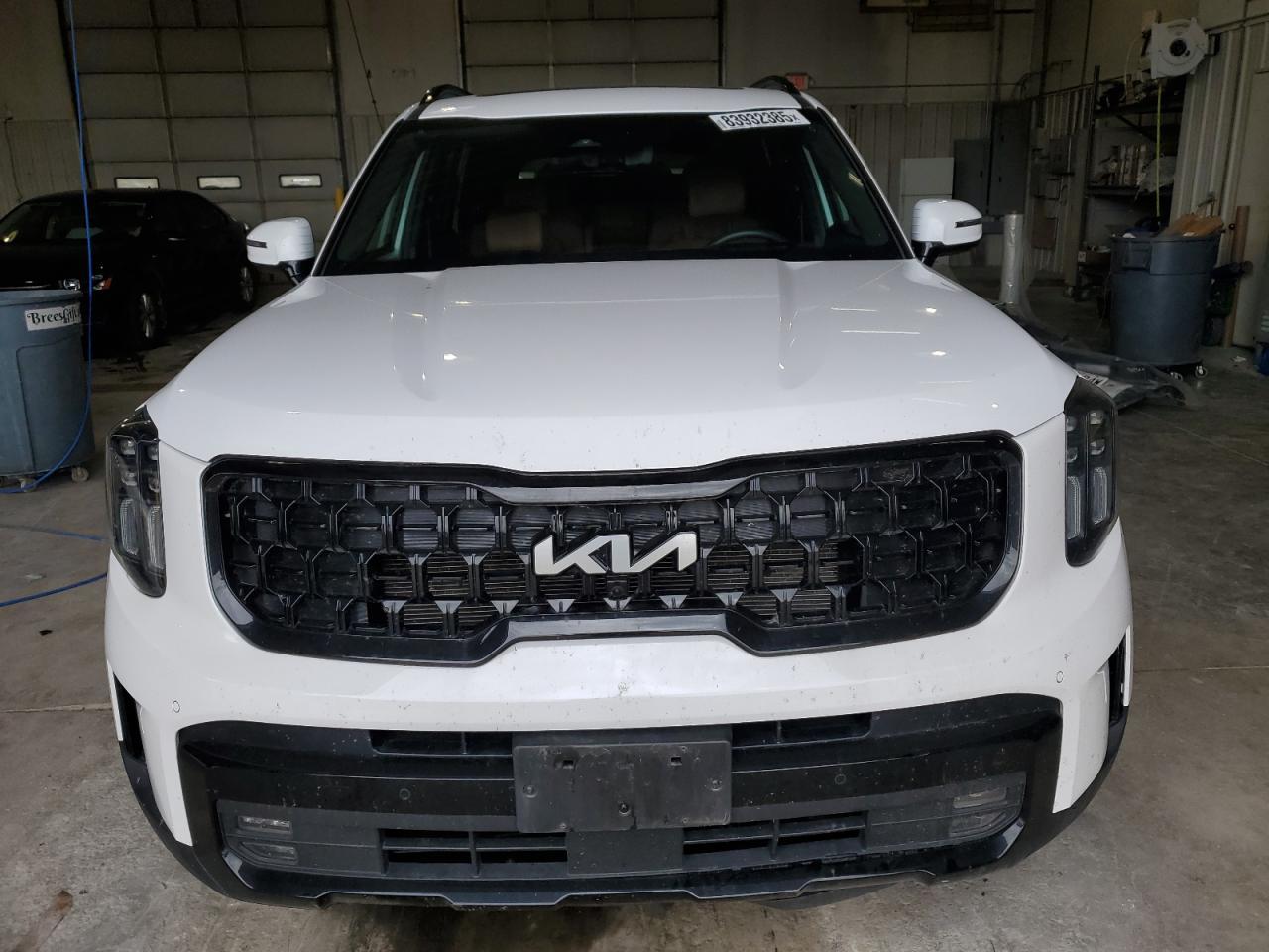 2024 Kia Telluride Sx - Фото 5