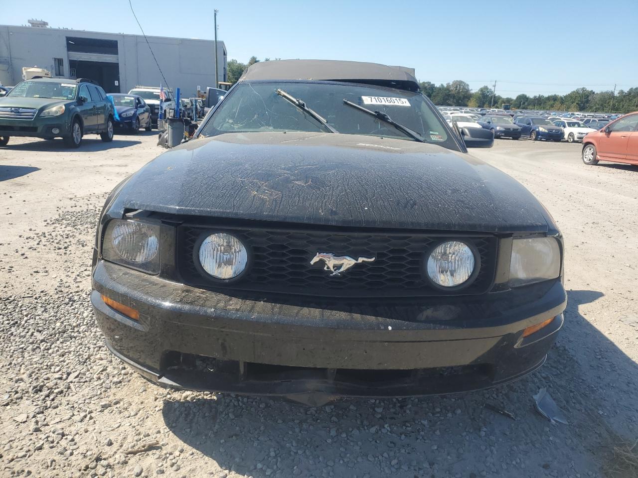 2005 Ford Mustang Gt - Image 5