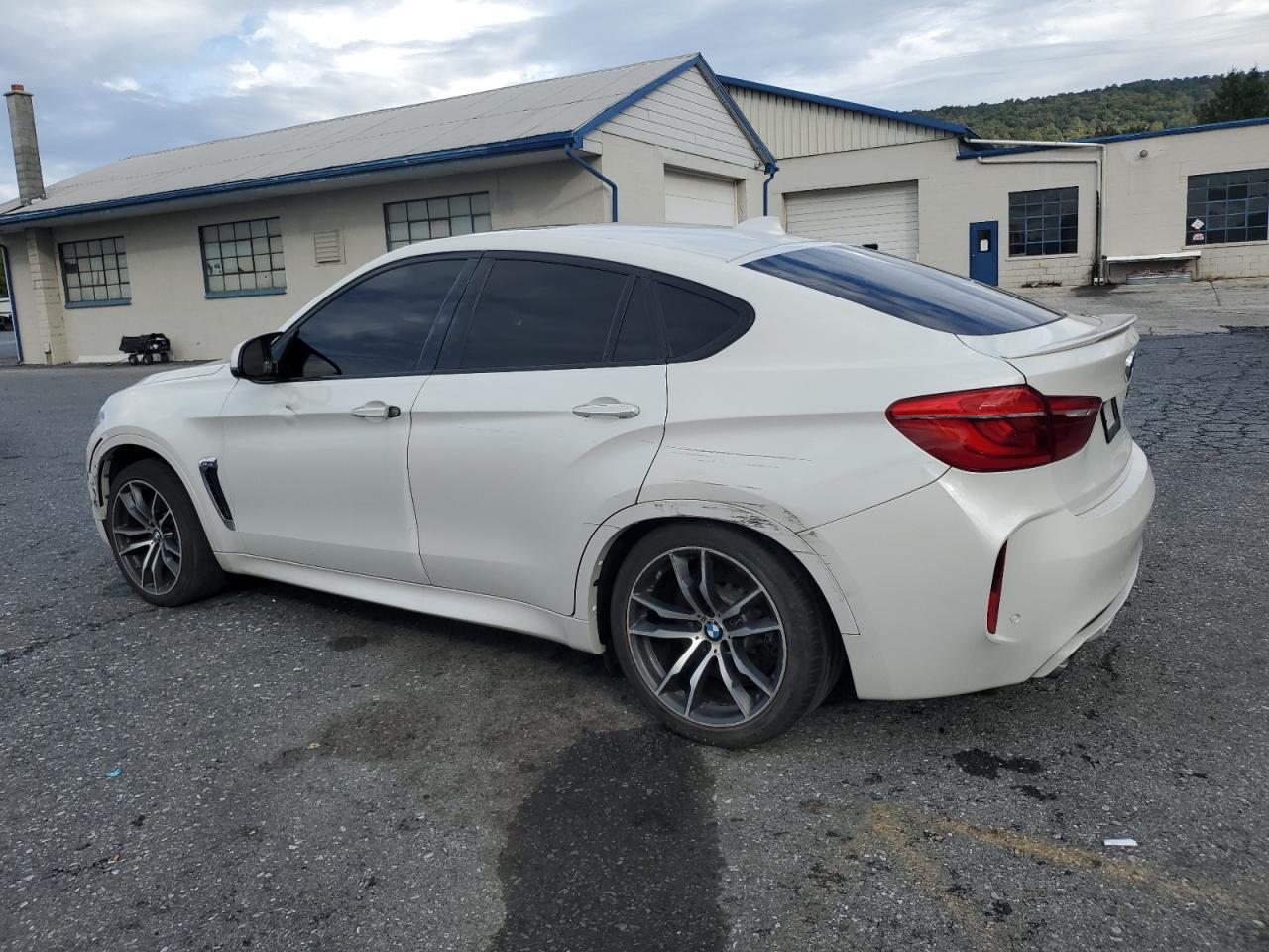 2016 BMW X6 M - Фото 2