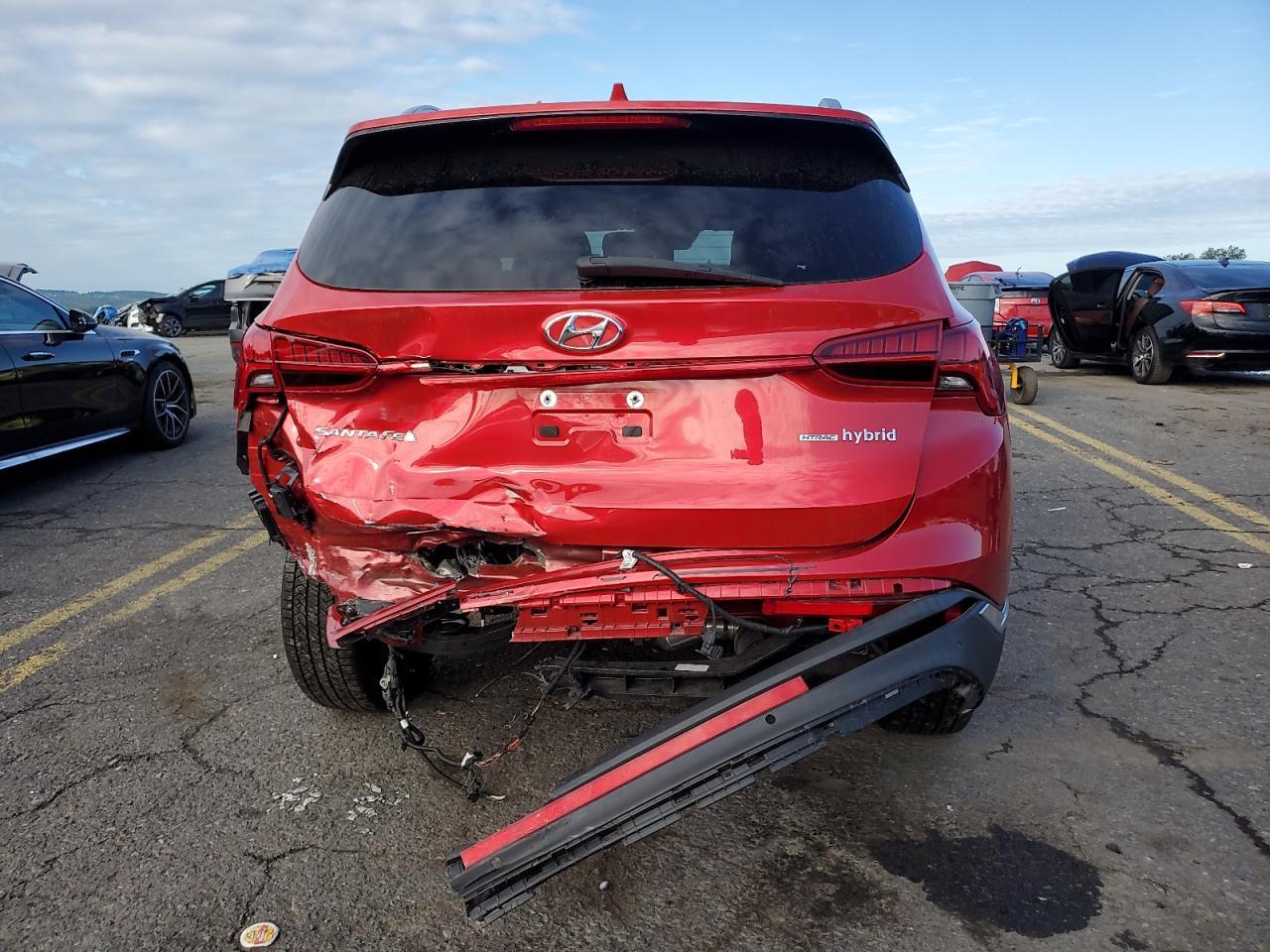 2023 Hyundai Santa Fe Sel Premium - Фото 6