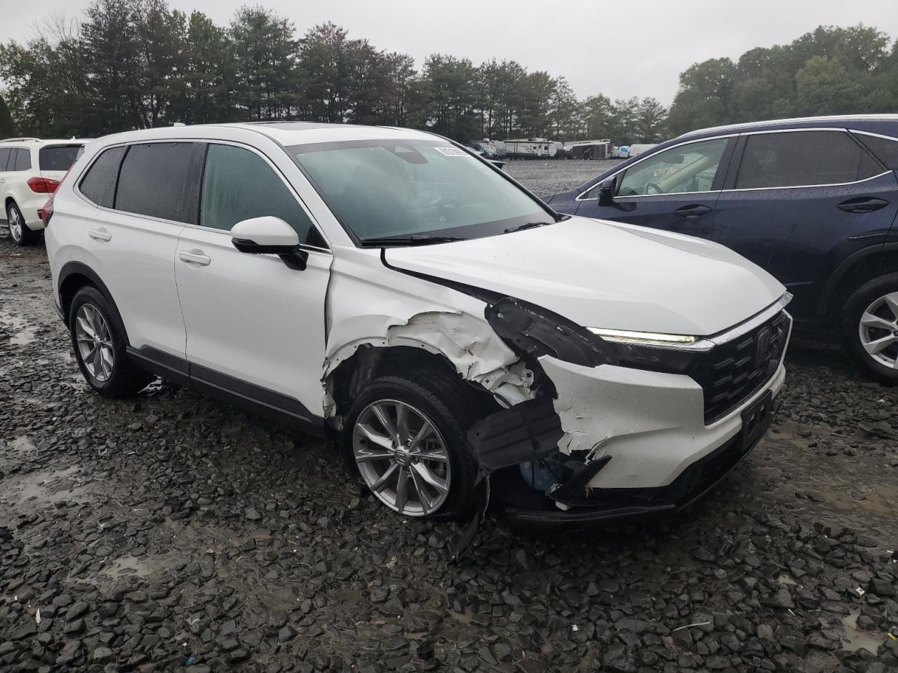 2025 Honda Cr-V Exl - Фото 4