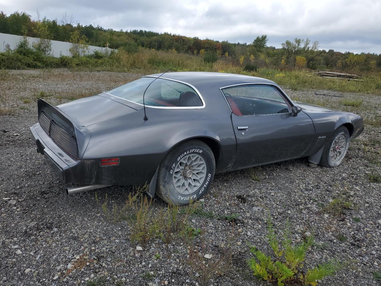 1981 Pontiac Firebird - Фото 3