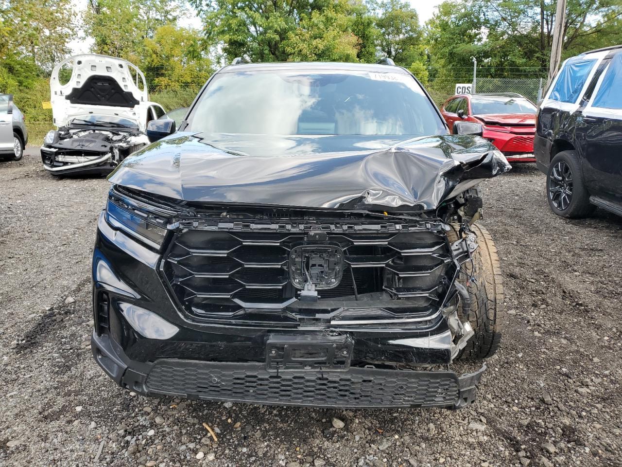 2023 Honda Pilot Trailsport - Фото 5