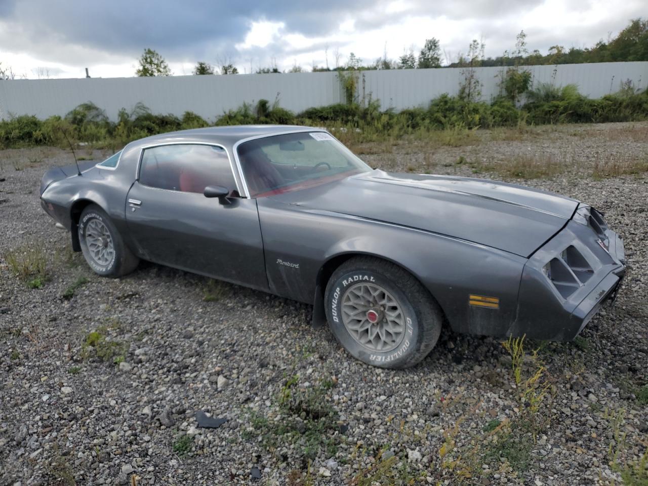 1981 Pontiac Firebird - Фото 4